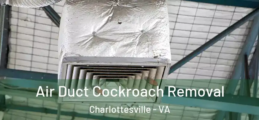  Air Duct Cockroach Removal Charlottesville - VA