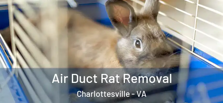  Air Duct Rat Removal Charlottesville - VA