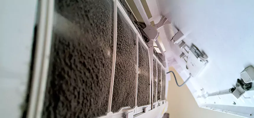 Preventive Air Duct Bacteria Removal in Charlottesville