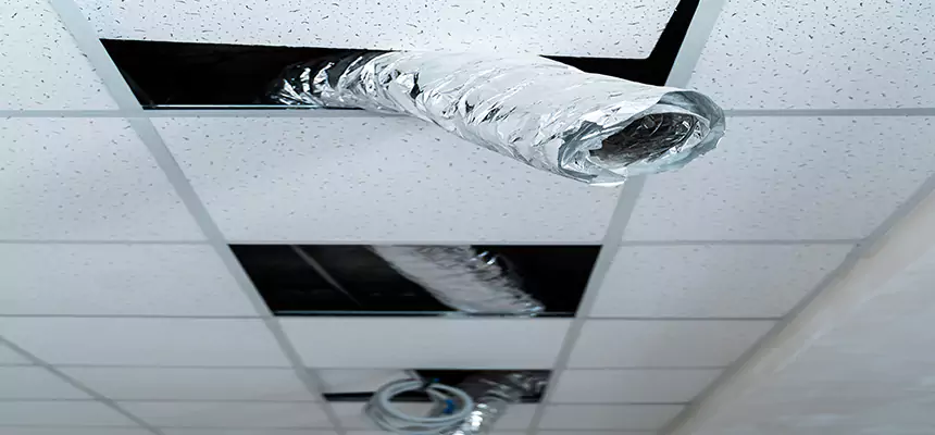 Our Air Duct Pet Hair Removal Services in Charlottesville, VA