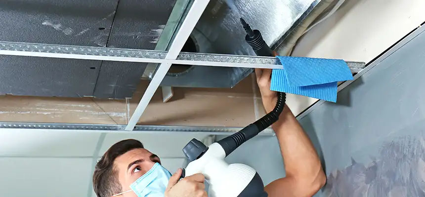 Our Air Duct Rodent Removal Services in Charlottesville, VA