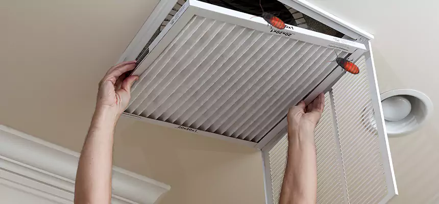 Our Insect Removal from Air Ducts Services in Charlottesville, VA