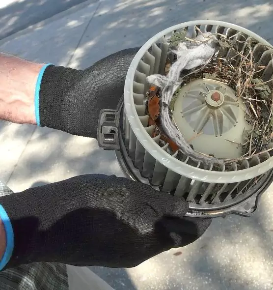 About Air Duct Mice Removal in Charlottesville, VA