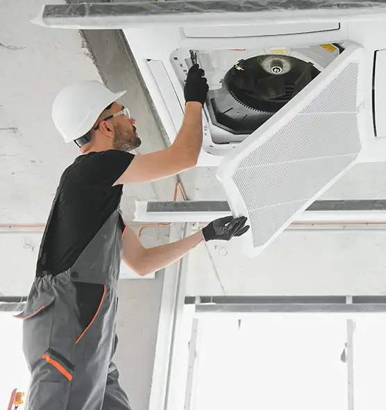 About Air Duct Rodent Removal in Charlottesville, VA