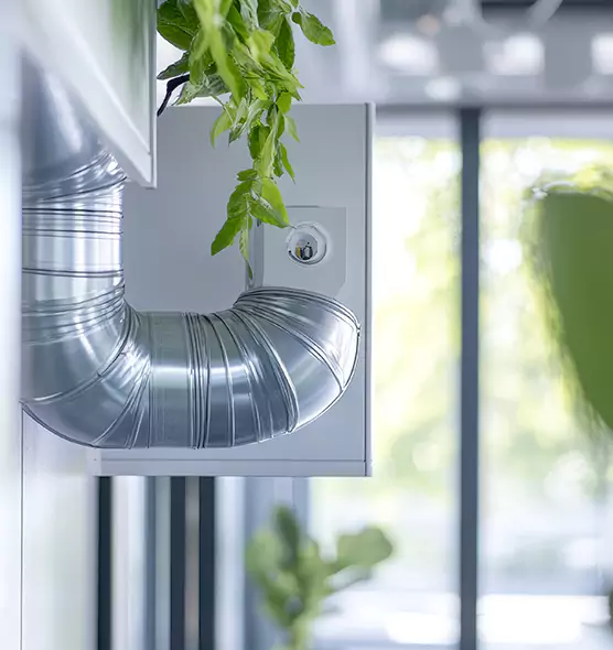 Professional Eco-Safe Dryer Vent Cleaning in Charlottesville, VA