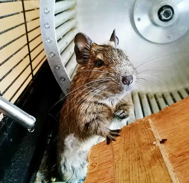 Why Homeowners & Businesses Trust Us Charlottesville, VA