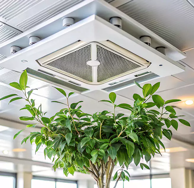 Why Homeowners & Businesses Trust Us in Charlottesville, VA?